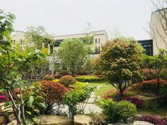 -上海崇明金茂凯悦酒店