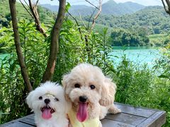 -comecome来吧宠物(奥克斯中心店)