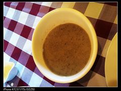 -百好乐宠物友好餐厅(朝外大街店)