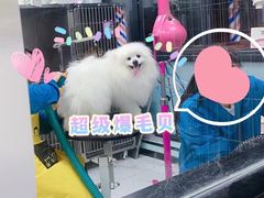 -嘉馨宠物医院·CT影像转诊·心脏科·犬猫全科诊疗中心(下沙大学城院区)