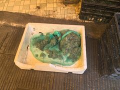 -鸿顺老铁锅美蛙鱼府(解放碑店)