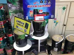 -立邦(宝坻专卖店)