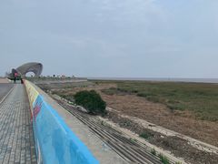 -南汇嘴观海公园