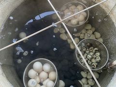 -凤翔首邑温泉度假村