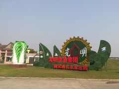 -上海都市菜园