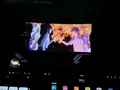 -枫花园汽车电影院(朝阳公园店)