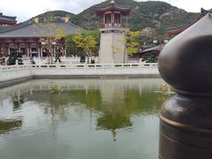 -里岛烤鱼(东港凯虹广场店)