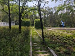 -黑龙江省森林植物园