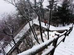 -牛背梁国家森林公园