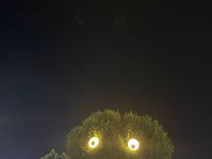 -特克斯八卦城