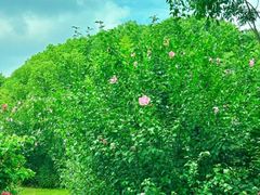 -杭州城北体育公园