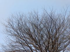 -乌山风景区