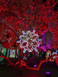 -RUANS阮仕珍珠(北京蓝色港湾店)