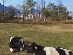 -云漫湖生态度假公园