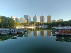 -团结湖公园