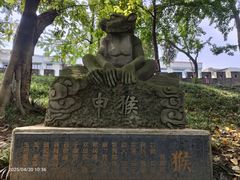 -房湖公园