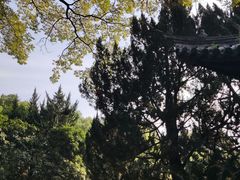 -秋霞圃