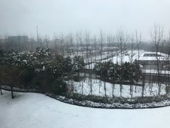 -常州环球恐龙城维景国际大酒店