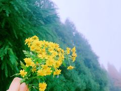 -山王坪喀斯特国家生态公园