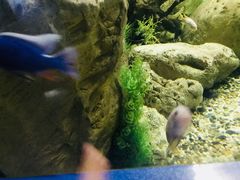 -厦门海底世界