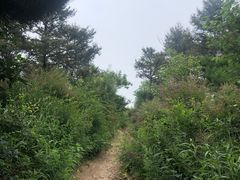 -妙峰山风景名胜区