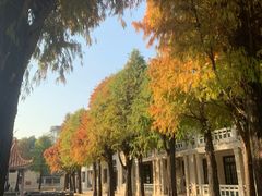 -佛山市第一中学