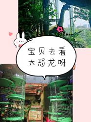 -恐龙探索乐园(磁器口店)