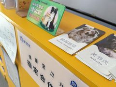 -渲嗳动物医院(异宠·复杂内科转诊中心·玖洲道富华里分院)