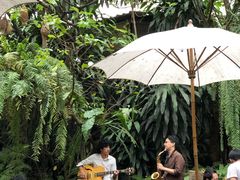 -Fern Forest Cafe