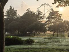 -宜兴龙背山森林公园