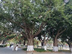 -厦门大学(思明校区)