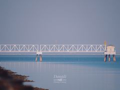 -东堤公园