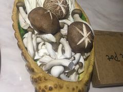 菌菇拼盘-狐狸爱上椰子鸡(滨江星光大道店)