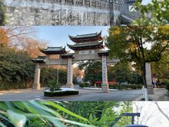 -镇江市南山风景名胜区竹林景区