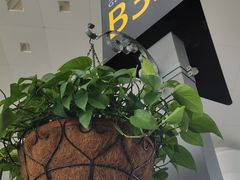 -杭州萧山国际机场