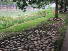 -成都市活水公园