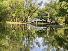 -上海共青森林公园