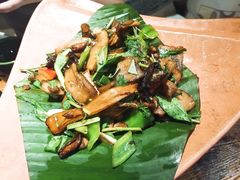 包烧野生牛肝菌-云海肴·汽锅鸡·云南菜(高德置地店)