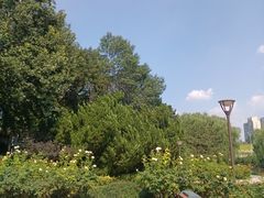 -元大都城垣遗址公园