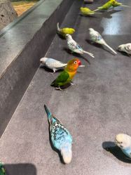 -酷嗒动物文化乐园(cutezoo西溪乐天城店)