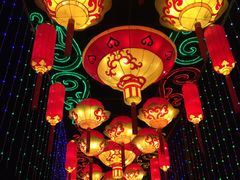 -武汉园博园(武汉自然博物馆)
