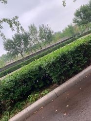 -HEYAN长风荷妍专业脱毛美肤
