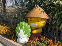 -上海都市菜园