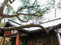 -中国茶叶博物馆(双峰馆区)