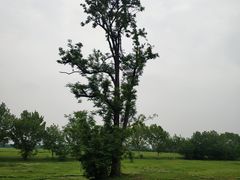 -汉长安城未央宫国家考古遗址公园