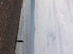 -抚仙湖禄充风景区