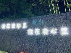 -南山植物园