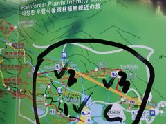 -呀诺达热带雨林