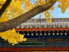 -北京国子监胡同