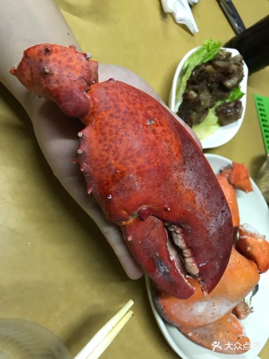 龙虾脚图片 - 第669张